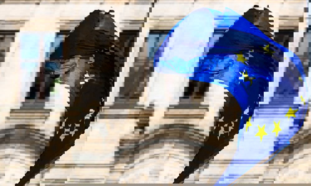 EU i verden: Fra fredstid til junglelov?