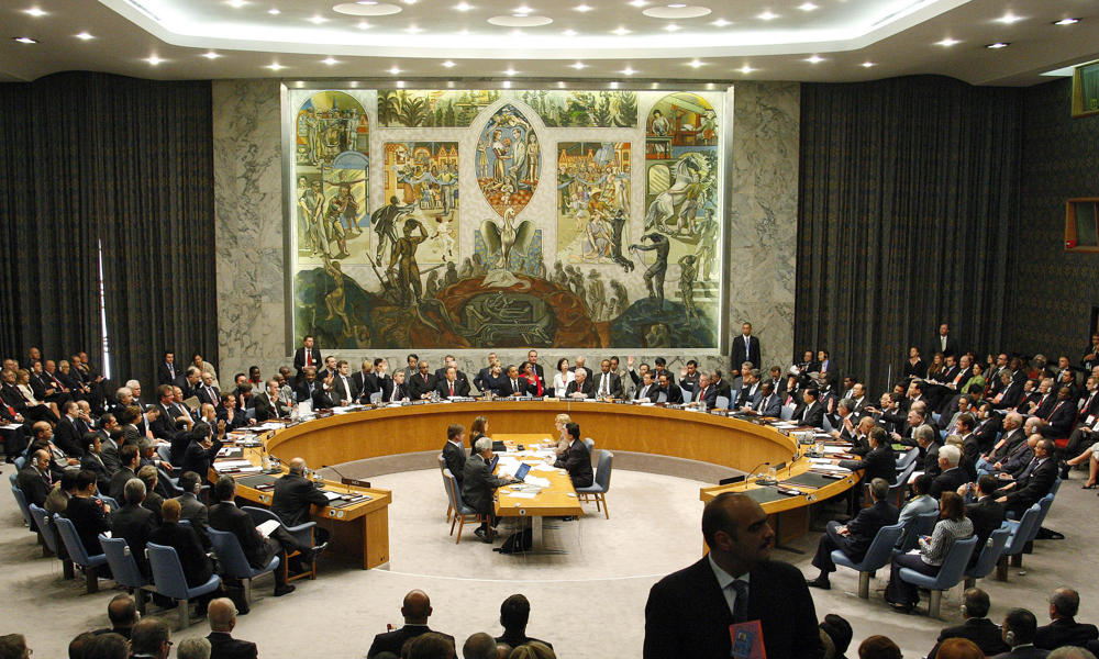 Danmark i FNs Sikkerhedsråd