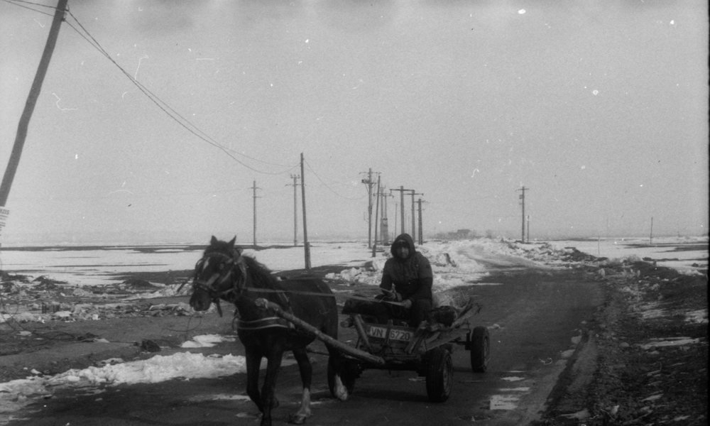 Fernisering: Fotoudstillingen VISUM