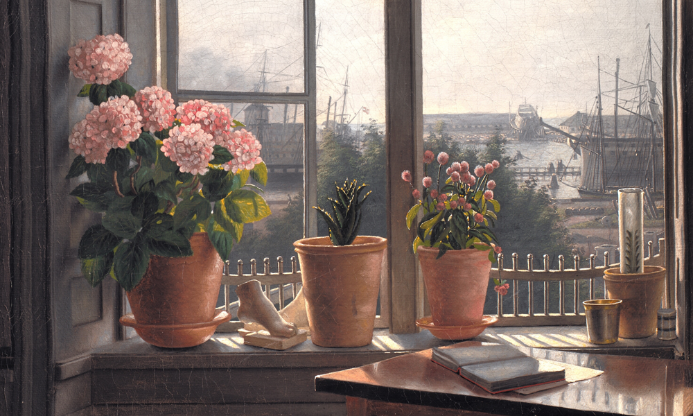 Verden i vindueskarmen - talk og plantebingo