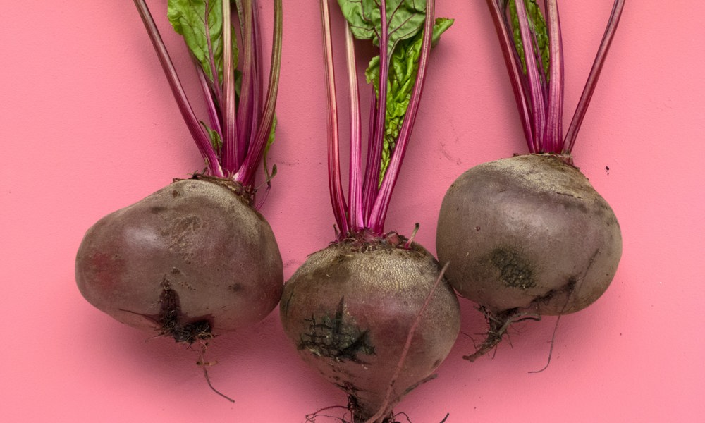 HVAD og HVORNÅR skal vi spise?