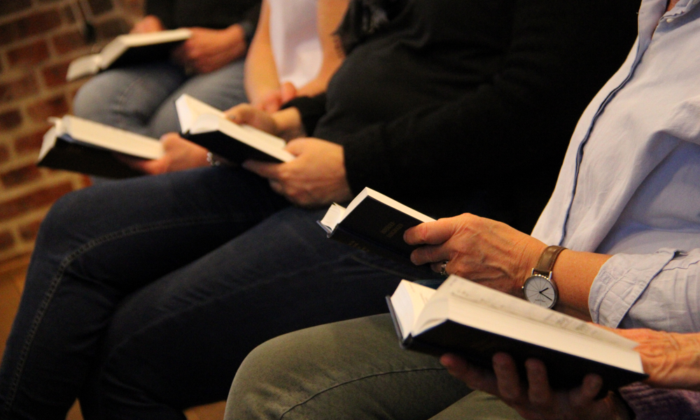 Elværket synger Verdenssange