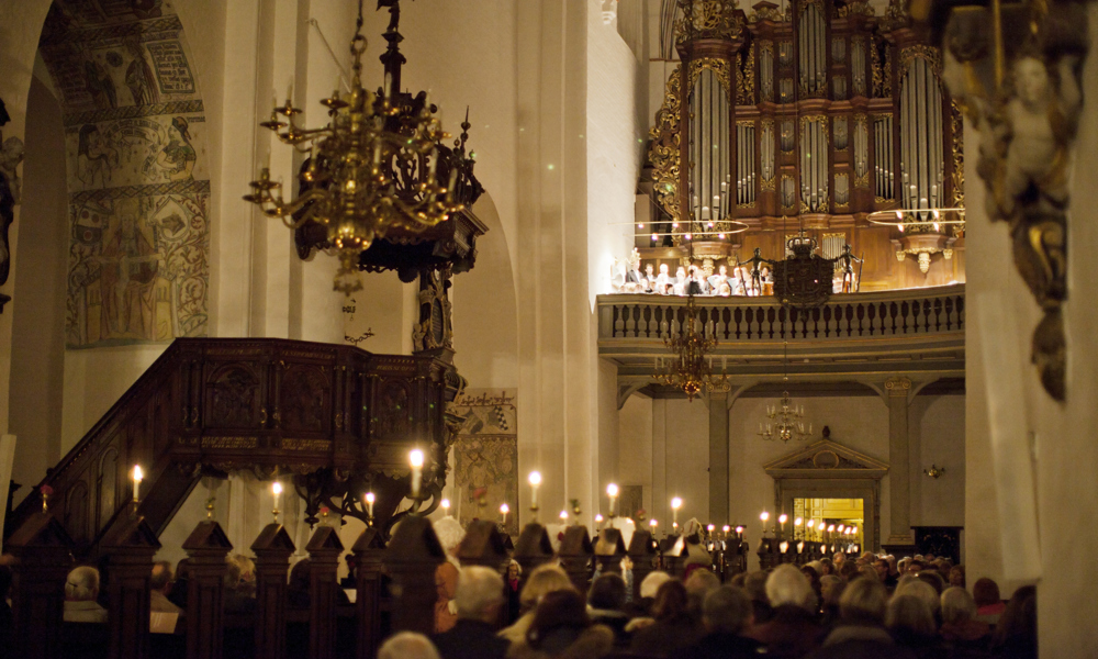 Katedralsamtale: Dumhed og idioti – er vi på vej ind i dumhedens guldalder?