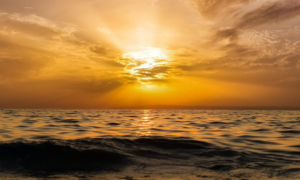 Havet og mennesket - En aften på Restaurant Havnær