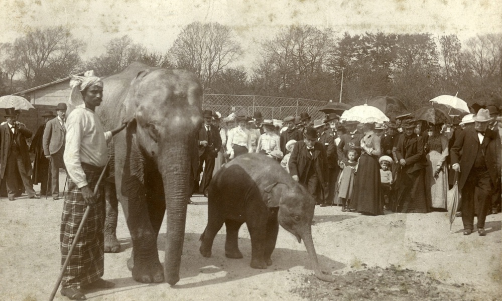 Menneskeudstillinger, racelære og stjålne kranier